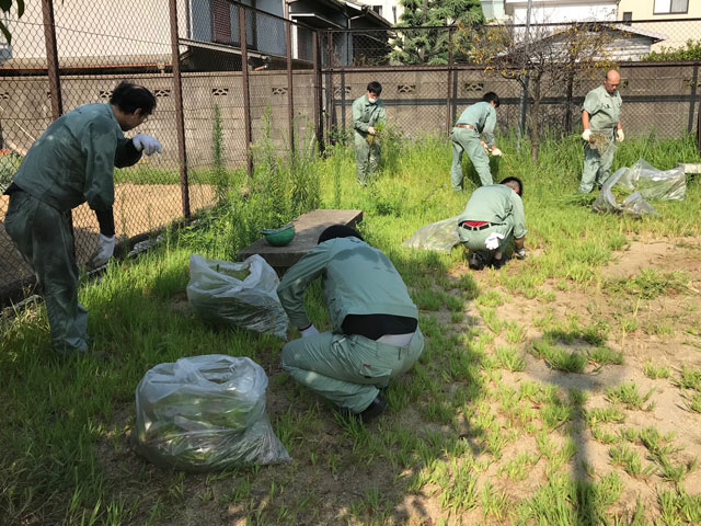 地域清掃活動